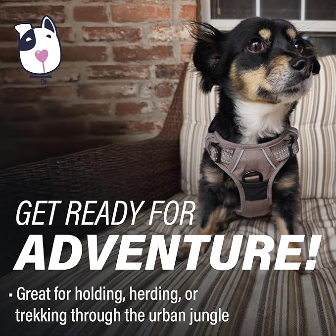 Doggie Design Venture Paw No Pull Dog Harness - Simple Adjustable Puppy Harness - Anti Pull Dog Collar for Walks and Outdoor Adventures - Dried Sage, S