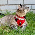 Voyager Escape-Proof Step-in Lock Cat Harness & 5ft Neoprene-Handle Leash Set All-Weather Mesh with Reflective Stitching for Small to Large Cats by Best Pet Supplies, Red, XXS