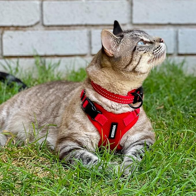 Voyager Escape-Proof Step-in Lock Cat Harness & 5ft Neoprene-Handle Leash Set All-Weather Mesh with Reflective Stitching for Small to Large Cats by Best Pet Supplies, Red, XS
