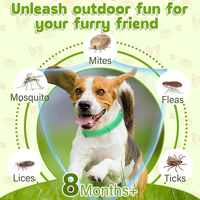 Natural Flea & Tick Prevention Dog Collars – 2-Pack Adjustable Waterproof Collars with Essential Oils (Lemon Eucalyptus, Citronella, Lavender, Linalool), Safe for All Breeds