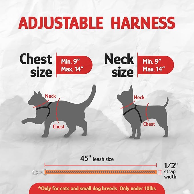 Filbert Cat Harness and Leash Set with Reflective Strip, Thin Cat Harness Escape Proof with Leash, Step-in, Adjustable, Indoor Outdoor, Easy-to-Put-On