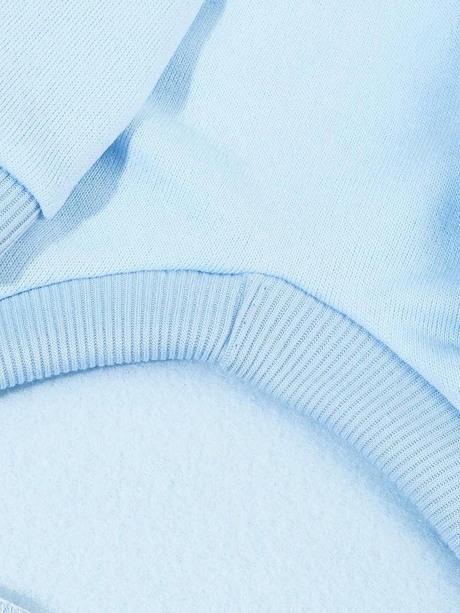 QWINEE Basic Dog Hoodie Sweatshirt Puppy Sweater Warm Cat Costumes Pet Clothes for Chihuahua Puppy Kitten Small Medium Dogs Light Blue Large