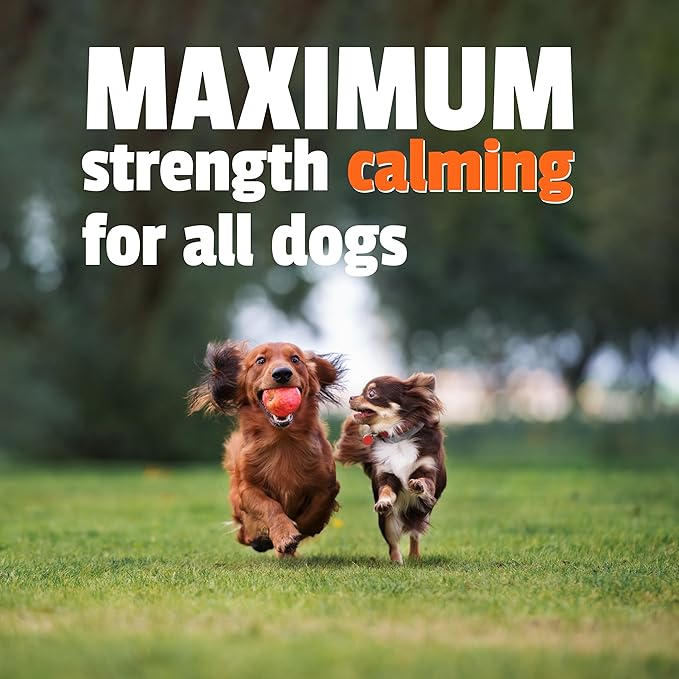 Pet Naturals BusyButter Extra Strength Calming Peanut Butter for Dogs - Great for Dog Toys, Lick Mats, Training, Calming Treats, Dog Anxiety Relief, Grooming, Treats and More - 1 6oz Pouch