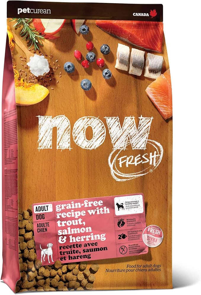 Now Fresh Grain-Free, Dry Dog Food, Real Trout, Salmon and Herring Adult Recipe, All Breed Size, 22 lb Bag