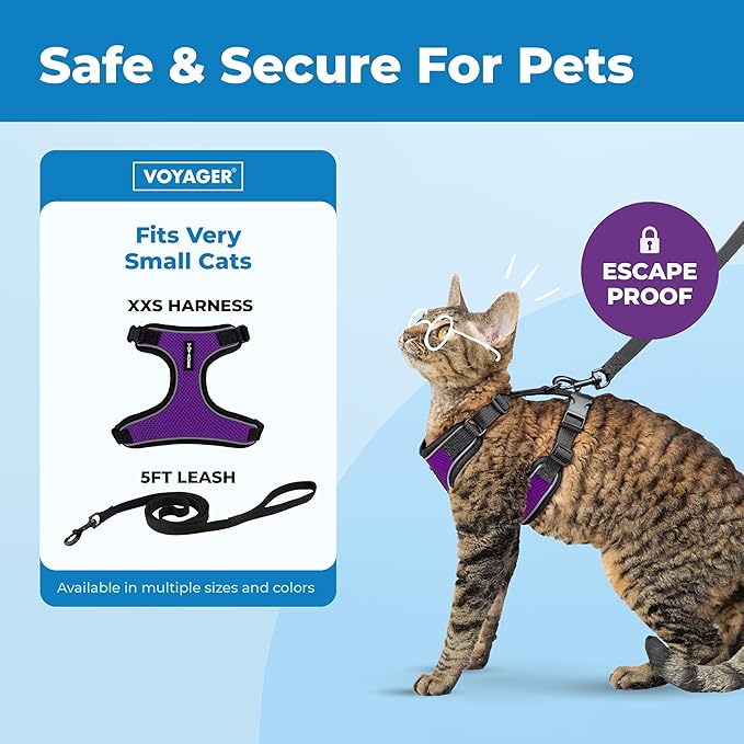 Voyager Escape-Proof Step-in Lock Cat Harness & 5ft Neoprene-Handle Leash Set All-Weather Mesh with Reflective Stitching for Small to Large Cats by Best Pet Supplies, Black Trim-Purple (327), XXS