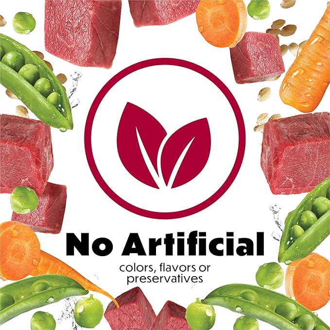 Purina Beneful Gravy Wet Dog Food, Prepared Meals Beef Stew - (8) 10 oz. Tubs