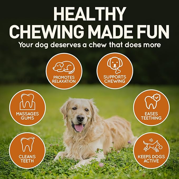 Wildfang® Leather Dog Toy, Medium - Leather Bone for Teething Dog, Dental Toys for Puppies, Training for Chewing Muscles, Puppy Chew Bones for Light or Medium Chewers (for Dogs 22-33 lbs), Pack of 1