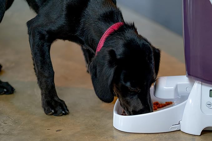 Cat Mate C3000 Automatic Dry Food 3-Meal Feeder, BPA Free for Cats & Small Dogs