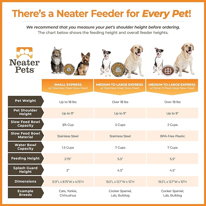 Neater Feeder Express Mess Proof Dog Bowls Elevated for Small Breed – Made in USA – No Spill Raised Slow Feeder Elevated Dog Bowl Stand, Stainless Steel Food and Water Bowl Set, Grey