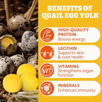 Wellix Freeze Dried Quail Eggs for Cats&Dog Treats - High-Protein Quail Egg Yolk Freeze Dried Cat Treats for Skin&Coat Health - Delicious Training Snacks for Pets 4.2oz