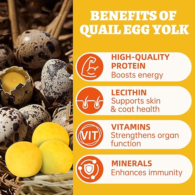 Wellix Freeze Dried Quail Eggs for Cats&Dog Treats - High-Protein Quail Egg Yolk Freeze Dried Cat Treats for Skin&Coat Health - Delicious Training Snacks for Pets 4.2oz