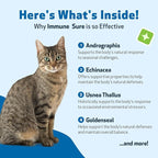 Pet Wellbeing Immune Sure for Cats - Supports Normal Immune Defenses, Gut Flora Balance, Andrographis, Echinacea, Vitamin C, Zinc - Veterinarian-Formulated Herbal Supplement 2 fl oz (59 ml)