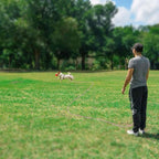 Rypet Reflective Cat Long Leash - 50 FT Escape Proof Walking Leads Yard Long Lead Durable Safe Personalized Extender Leash Traning Play Outdoor for Kitten, Puppy, Rabbit and Small Animals(Pink-L)