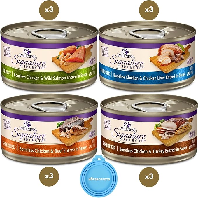Hotspot Wellness Grain Free Wet Cat Food Variety Bundle - 4 Flavors Pack (12 Cans) With Bowl: Chicken, Liver, Salmon & Turkey (2.82oz)