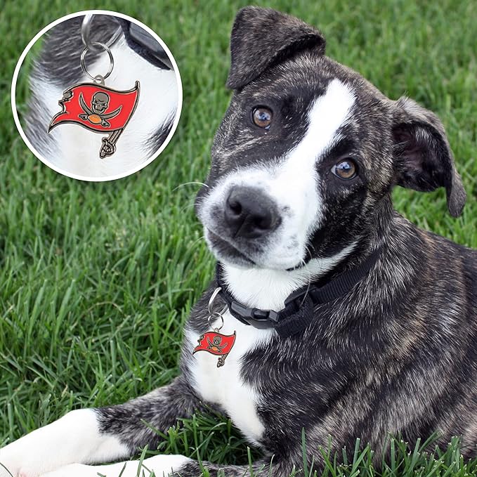 NFL Tampa Bay Buccaneers Engraving Pet ID Tags in 32 Team Logo Shapes Personalized Dog Tags and Cat Tags with 3 Lines of Customizable Text for Tracking & Safety. Stainless Steel Pet ID Tracking Tags