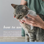 Burt's Bees for Pets Kitten Wipes with Buttermilk - Pet Wipes for Cats Waterless Bathing & Cleaning, Kitten Essentials for Indoor Kittens, Gentle Cat Grooming Wipe for Face, Paws & Butt, 50 Count