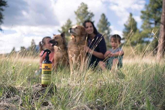 Dog Whisperer Tick + Flea Repellent, All-Natural, Extra Strength, Effective on Dogs and Their People 16 oz (2-Pack)