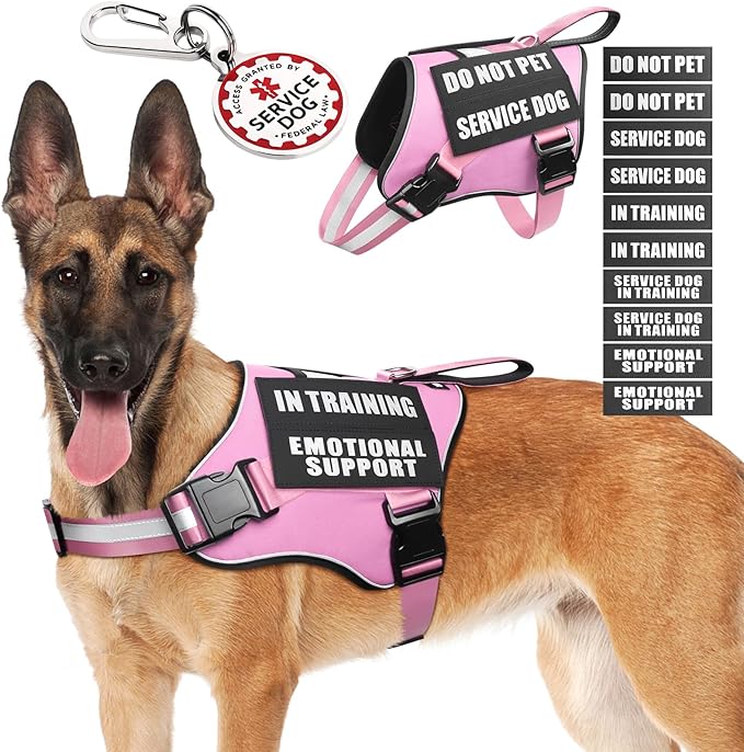 Service Dog Vest Harness+ID Tag+10 Patches,Metal Serivce Dog Tag&Reflective Emotional Support Dog Vest with Handle for Large Dogs,Easy Put On/Off for Training/Walking/Everyday Pink L