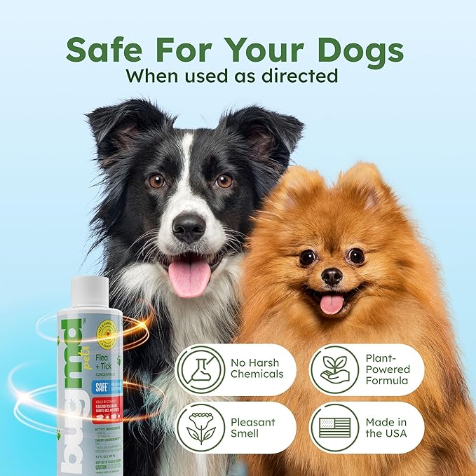 BugMD Flea and Tick Concentrate (3.7 oz, 2 Pack) – Essential Oil Formula for Dogs, Controls Fleas, Ticks & Mites, Safe for Pet Beds, Kennels & Home Use