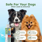 BugMD Flea and Tick Concentrate (3.7 oz, 2 Pack) – Essential Oil Formula for Dogs, Controls Fleas, Ticks & Mites, Safe for Pet Beds, Kennels & Home Use