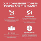 Go! Solutions Sensitivities Limited Ingredients, Grain-Free Dry Dog Food, Salmon Recipe for Sensitive Stomach, 3.5 lb Bag