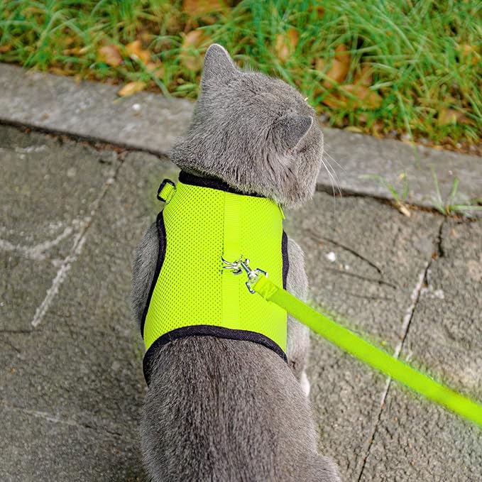 PUPTECK Soft Mesh Cat Vest Harness and Leash Set Puppy Padded Pet Harnesses Escape Proof for Cats Small Dogs Rabbits Bunny, Fluorescent Green XL