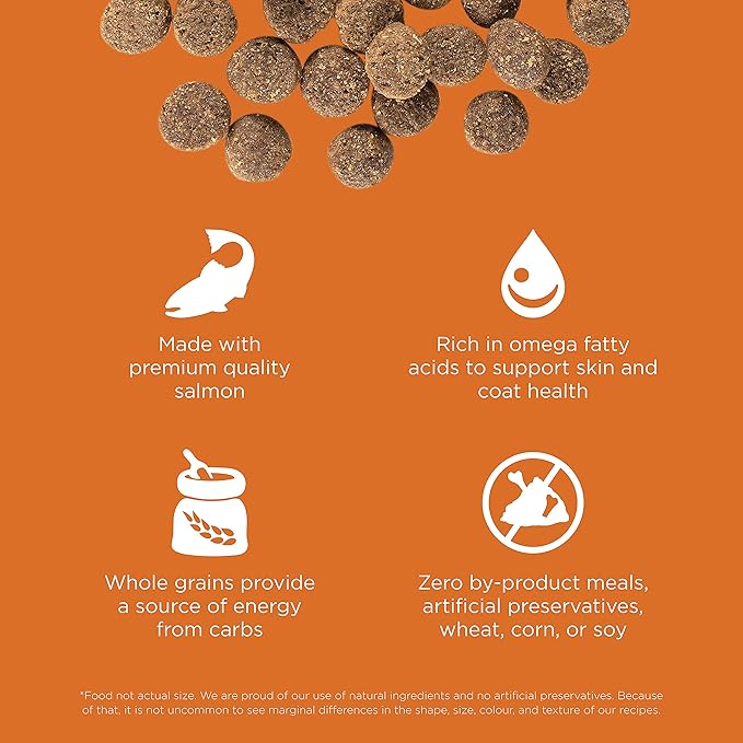 Go! Solutions Skin + Coat Care, Dry Dog Food, Salmon Recipe with Grains, 3.5 lb Bag