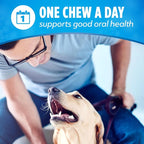 DentaLife Daily Oral Care Dog Treats for Small and Medium Dogs, Chewy Dental Treat to Freshen Breath and Fight Tartar, Chicken Flavor, 35.7 oz. each, 47 Chews each/94 Total Chews - 47 ct. Pouch