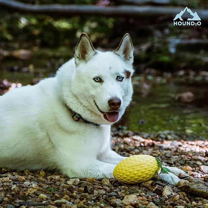 Playology Hound2O Dog Toys | Squeaky Football Toy for Dogs to Chase | Yellow Floating Outdoor Toy - Easy to Clean and Made from Non Toxic Materials