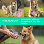 Puppy Dog Squeaky Toys (Dog Toys(20pack))