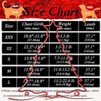 Cat Leash and Harness Set,Breathable Dog Harness,Pet Harness,Adjustable Mesh cat Harness and Leash Escape Proof for Puppy Cat Rabbit (Black, XS)