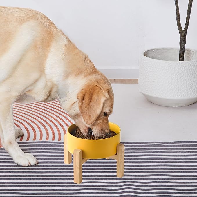 8'' Ceramic Raised Dog Bowl - 70Oz Dog Food & Water Bowl with Elevated Non-Slip Bamboo Stand, Dishwasher & Microwave Safe, Anti Vomiting Heavy Duty Pet Bowl for Medium and Large Dogs, Yellow