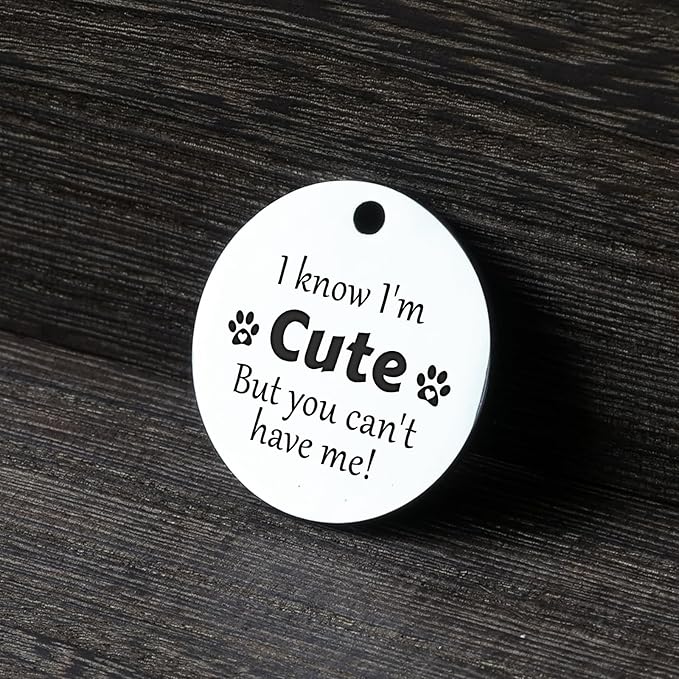 MYLUCKYTAG QR Code Stainless Steel Personalized Dog ID Tag, Digital Pet Profile, Pet Location Alert Email