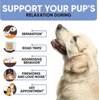 Calming Chews for Dogs with Hemp Oil - Dog Calming Treats with Duck Flavour - Aid During Thunderstorms, Fireworks, Separation, Car Rides - Hemp Dog Treats for Calming Support - 180 Chews