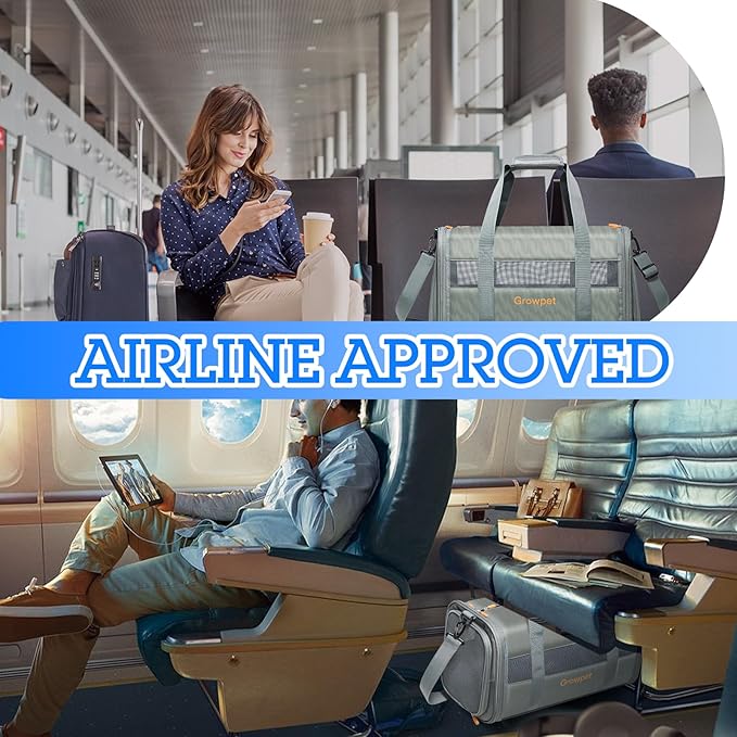 Cat Carrier and Dog Carriers, Soft Sided Breathable Mesh, Two Soft Pads are Provided, Small Dogs or Medium Cats Pet Carrier up to 16 Lbs, 18.5in*9.84in*11in