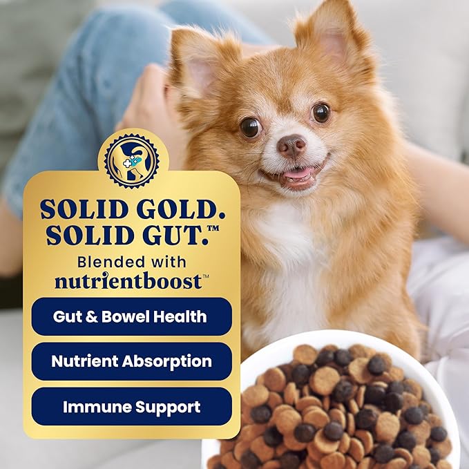 Solid Gold Toy & Small Breed Dry Dog Food Small Bites – Real Chicken, Grain Free Gluten Free, High Fiber Healthy Kibble w/Probiotics for Gut Health & Digestion Support– All Ages – NutrientBoost™ –11LB