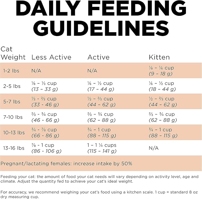 Go! Solutions Skin + Coat Care, Grain-Free Dry Cat Food, Salmon Recipe, 8 lb Bag