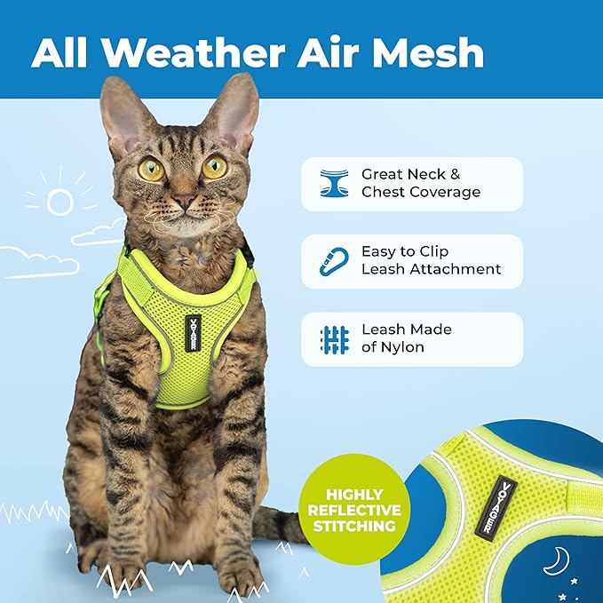 Voyager Escape-Proof Step-in Lock Cat Harness & 5ft Neoprene-Handle Leash Set All-Weather Mesh with Reflective Stitching for Small to Large Cats by Best Pet Supplies, Lime (327), XS