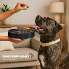 WHIPPY Slow Feeder Dog Bowl, Puzzle Maze Design to Slow Down Eating, 3-Cup Capacity, Anti-Gulping Food Bowl for Medium & Large Dogs,Green