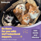 Cat Calming Diffuser Refills – Long-Lasting 30-Day Formula, Cat Pheromones Calming Diffuser for Stress Relief, Relaxation, and Anxiety Reduction, Easy to Use – (2 Diffusers + 2 Refills)