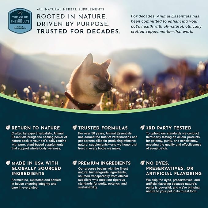 Animal Essentials Plant Enzyme & Probiotics for Dogs & Cats - Digestive Enzymes for Dogs, Probiotic Powder, Digestive Supplement, No Preservatives, Veterinarian Recommended - 3.5 Oz