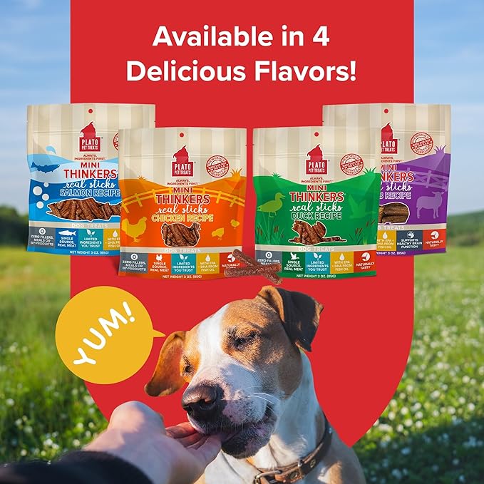 PLATO Mini Thinkers Sticks - Natural Dog Treats - Real Meat - Air Dried - Made in the USA, Chicken Flavor, 6 ounces