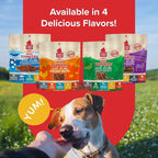 PLATO Mini Thinkers Sticks - Natural Dog Treats - Real Meat - Air Dried - Made in the USA, Chicken Flavor, 6 ounces