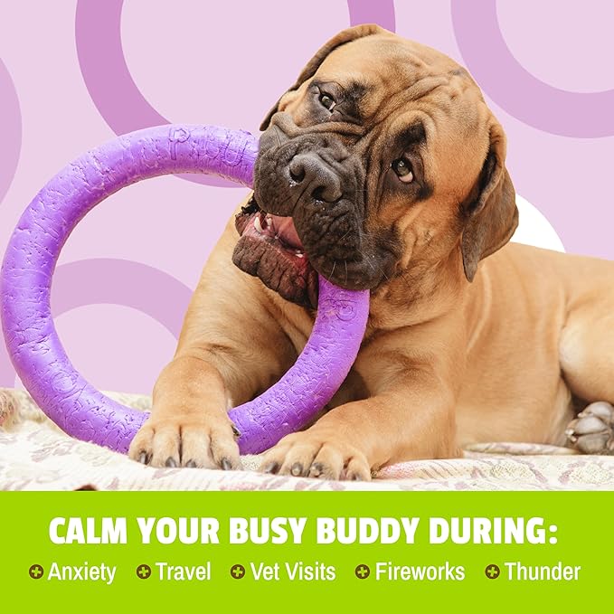 Pet Naturals BusyButter Extra Strength Calming Peanut Butter for Dogs - Great for Dog Toys, Lick Mats, Training, Calming Treats, Dog Anxiety Relief, Grooming, Treats and More - 1 6oz Pouch