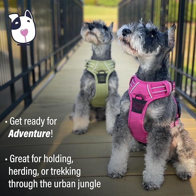 Doggie Design Venture Paw No Pull Dog Harness - Simple Adjustable Puppy Harness - Anti Pull Dog Collar for Walks and Outdoor Adventures - Aspen, M