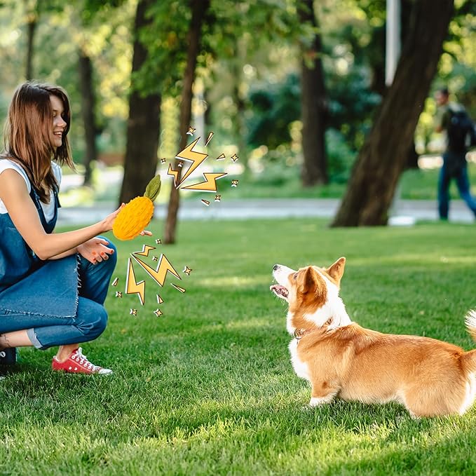 Squeaky Dog Chew Toys, Strong Tough Dog Toy with Natural Rubber, Teething Chew Toys for Small Medium Large Breeds, Kiwano Horned Cucumber Shape