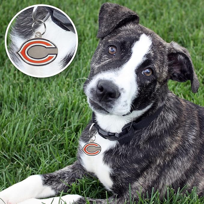 NFL Chicago Bears Engraving Pet ID Tags in 32 Team Logo Shapes Personalized Dog Tags and Cat Tags with 3 Lines of Customizable Text for Tracking & Safety. Stainless Steel Pet ID Tracking Tags