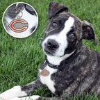 NFL Chicago Bears Engraving Pet ID Tags in 32 Team Logo Shapes Personalized Dog Tags and Cat Tags with 3 Lines of Customizable Text for Tracking & Safety. Stainless Steel Pet ID Tracking Tags