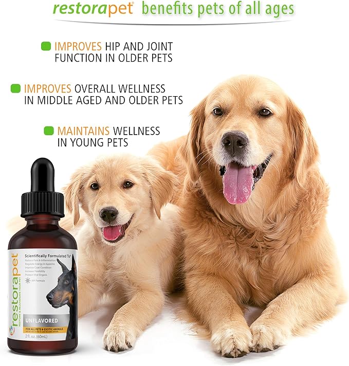 RestoraPet 1-Pack Dog & Cat Beef Liquid Multivitamin | Dog Arthritis Pain Relief | Hip & Joint Vitamins for Dogs - Anti Inflammatory Supplement for Dogs & Cats | Organic & Non-GMO, Vet Approved