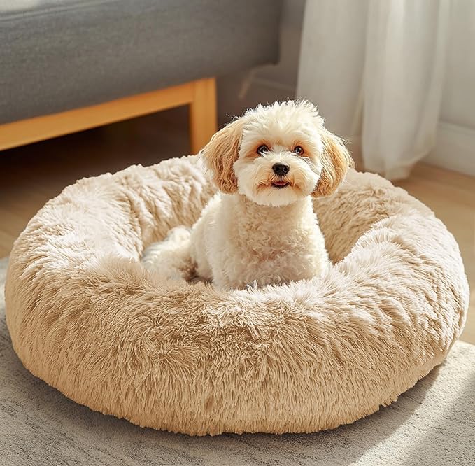 JOLLYVOGUE Dog & Cat Bed, Calming Anti-Anxiety Pet Bed for Small Dogs, Fluffy Donut Cushion for Small and Medium Pets (20")